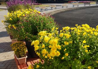 2025年10月30日　植物園2